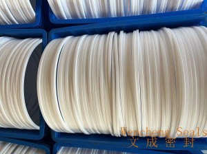 Solid PTFE Manlid Seals