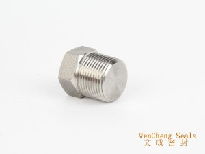 Stainless Steel Plug Source Manufacturer