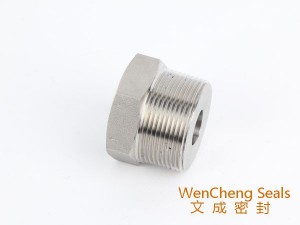 Stainless Steel Internal and External Thread Changer