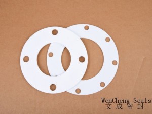 Pure PTFE Flange Gasket